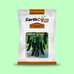 F1 Hybrid Brinjel-Mom Plus