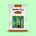 F1 Hybrid Cucumber-Dhamini,10 gram