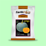 F1 Hybrid Pumkin-Nepchun,20 gram