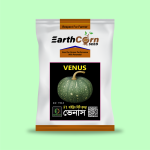 F1 Hybrid pumkin-Venus,20 gram